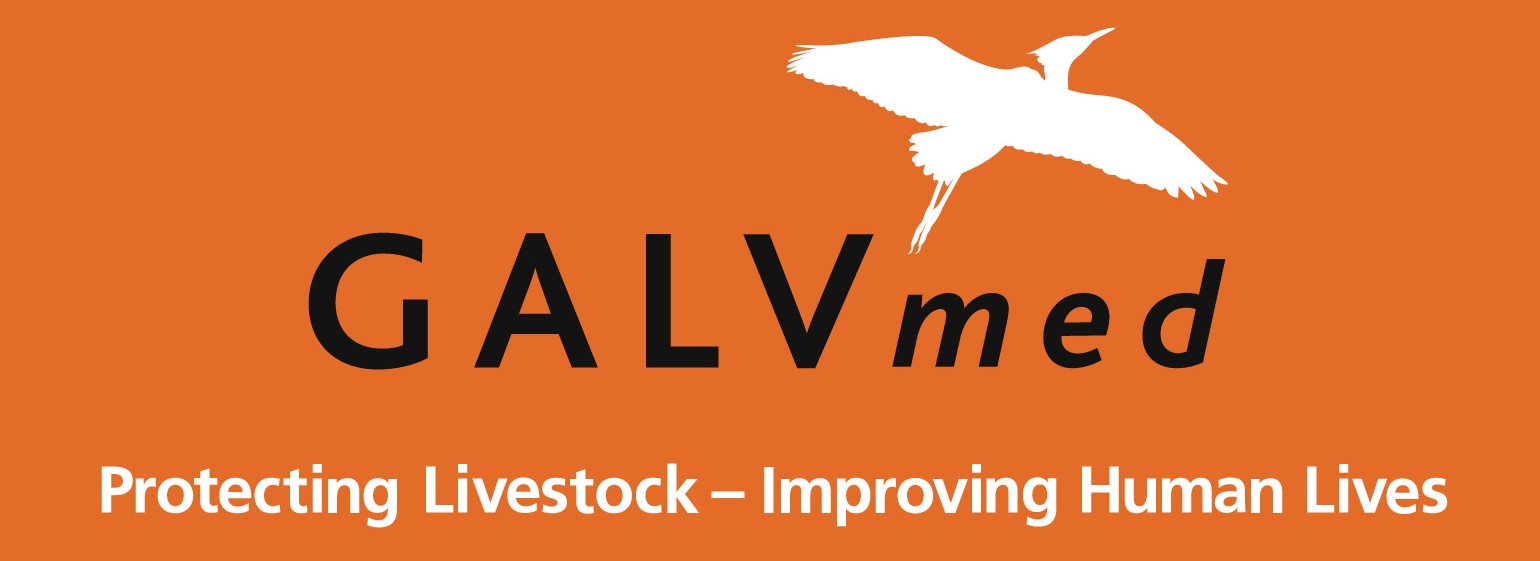 galvmed