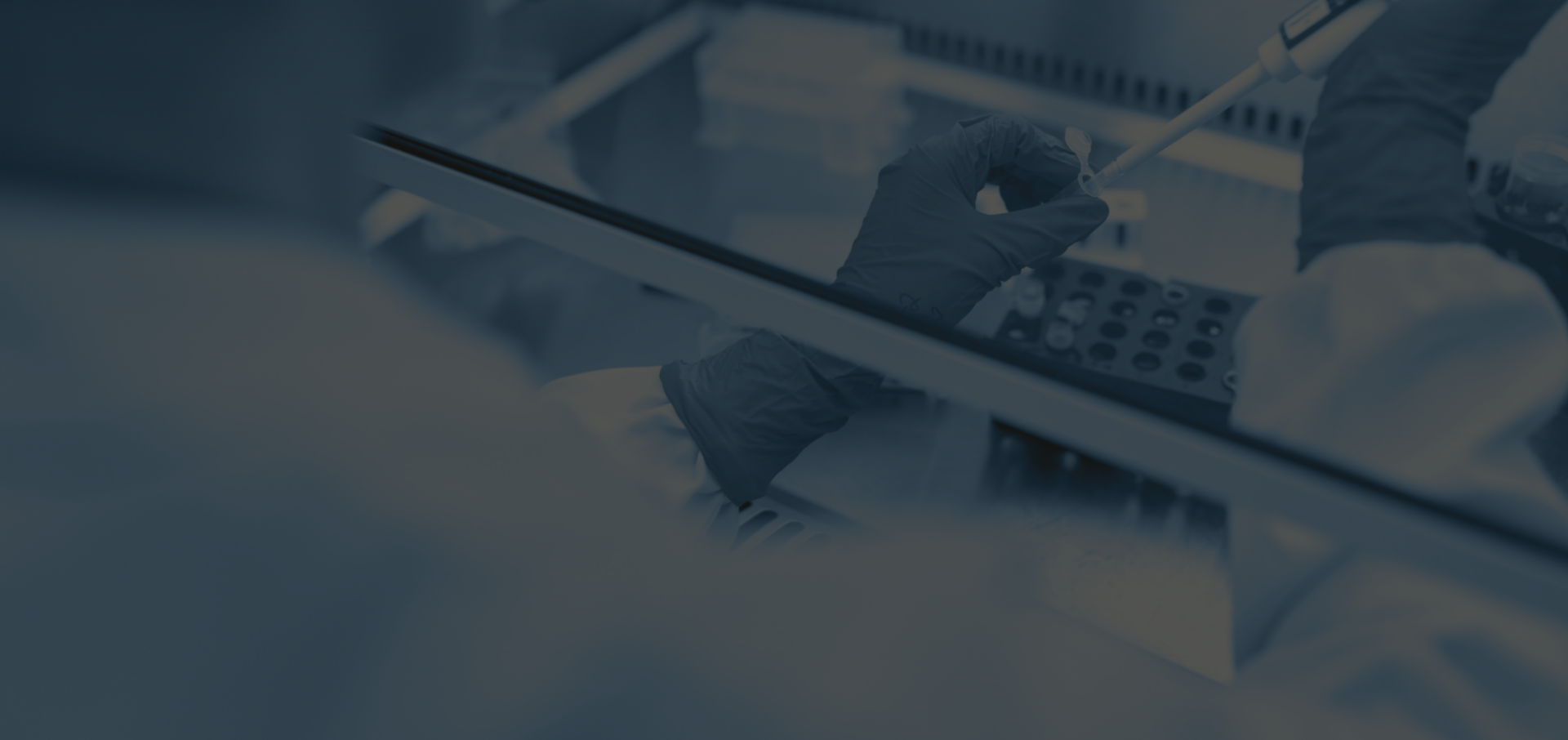 Animal Health Product Development